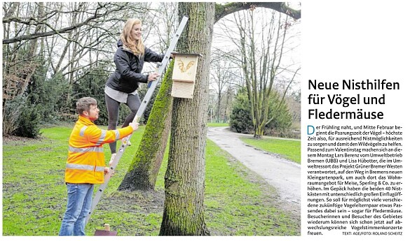 Neue Nisthilfen für Vögel und Fledermäuse - WK 14.02.2022