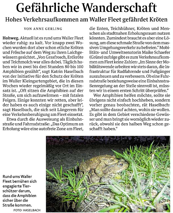 Kröten - Gefährliche Wanderschaft - WK 04.04.2022
