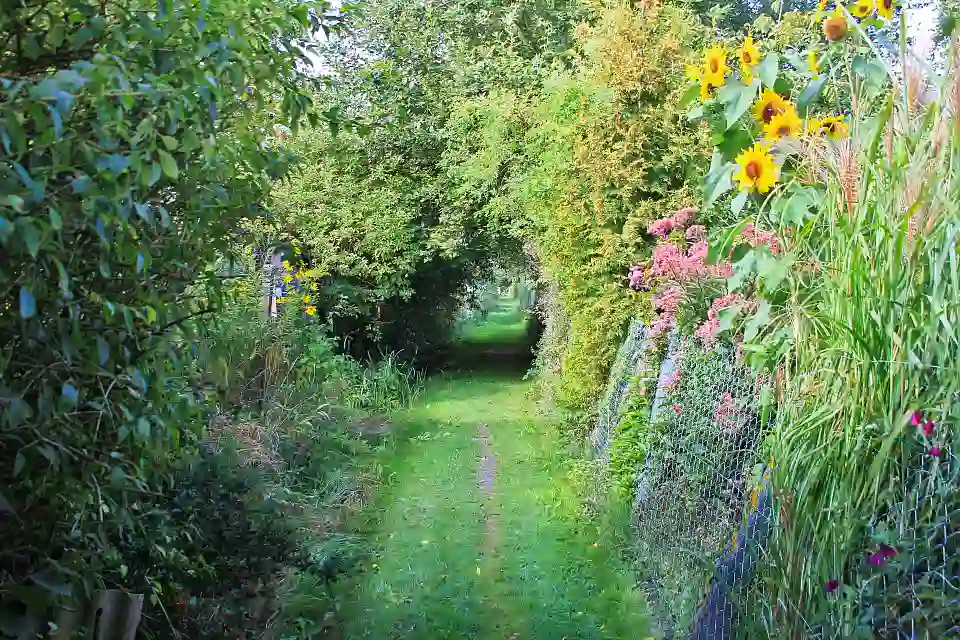 Verwunschene Wege im gro&szlig;en Kleingartenverein, Foto: SKUMS