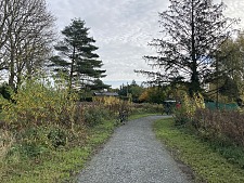 Wegebau im Maiglöckchenweg