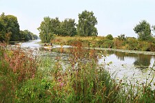 Der Verein Waller Marsch liegt am Maschinenfleet, Foto: SKUMS