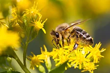 &copy Robby Ballhause