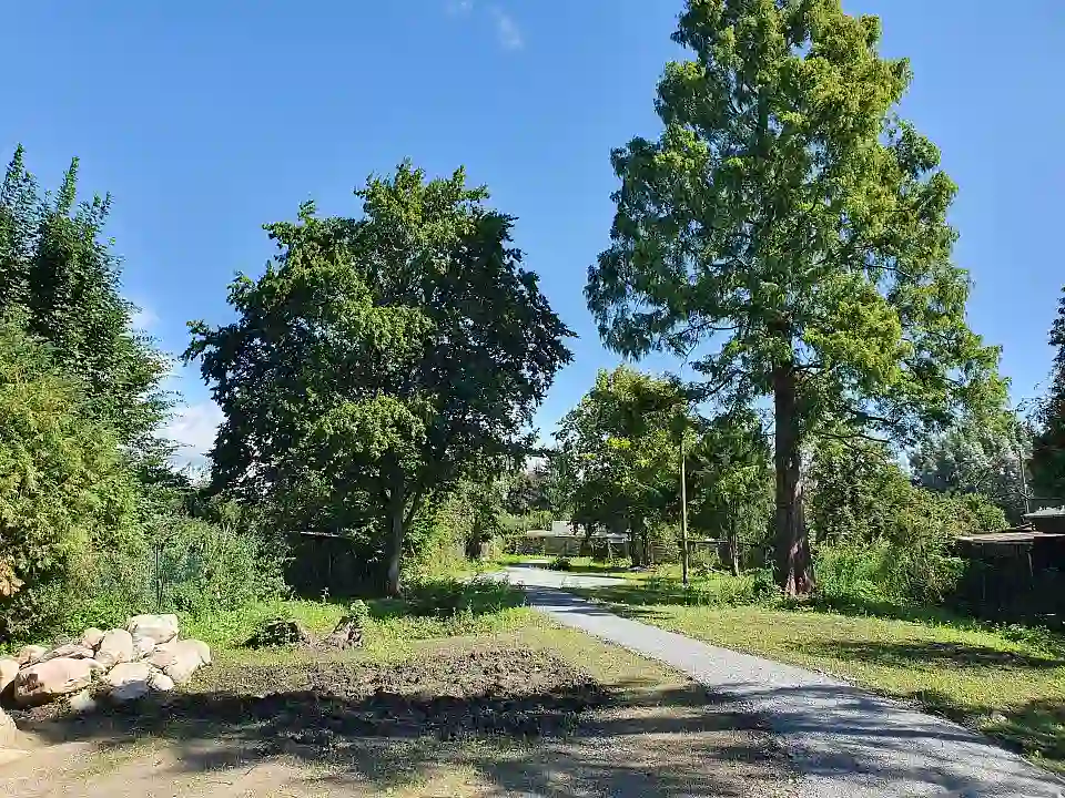 Der Wild- und Honigbienengarten ist fertiggestellt