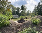 Es tut sich etwas im Gemeinschaftsgarten (Sommer 2023)