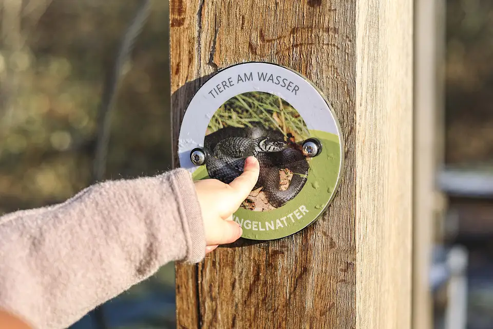 Naturerlebnisweg, Informationen zu den Tieren im Gebiet 