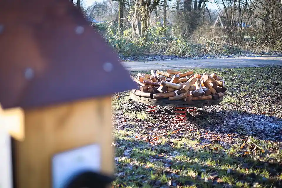 Nestwippe beim Naturerlebnisweg