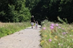 Auf dem Rundweg das Naherholungsgebiet entdecken