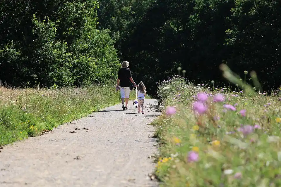 Auf dem Rundweg das Naherholungsgebiet entdecken