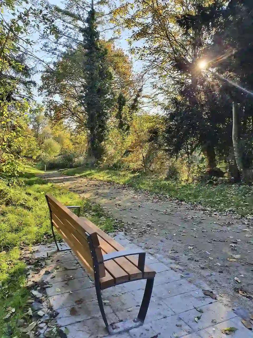 Neue B&auml;nke (1) &copy; H&uuml;botter