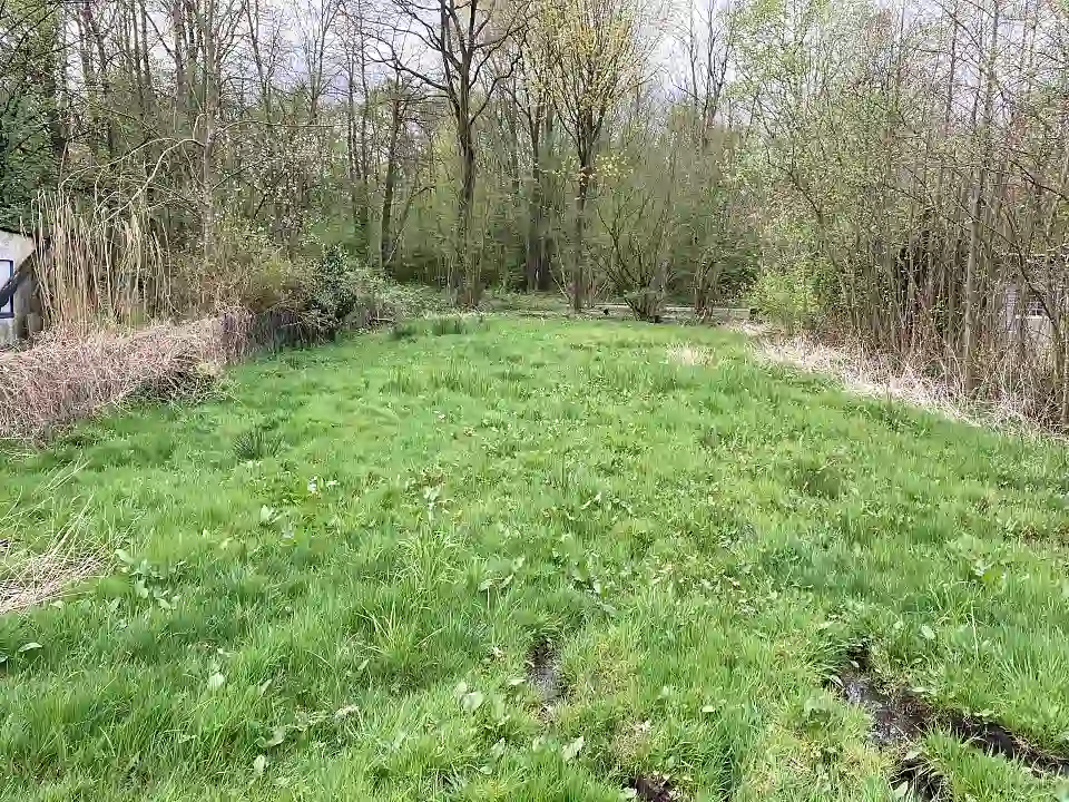 Parzelle im Dornr&ouml;schenweg 29