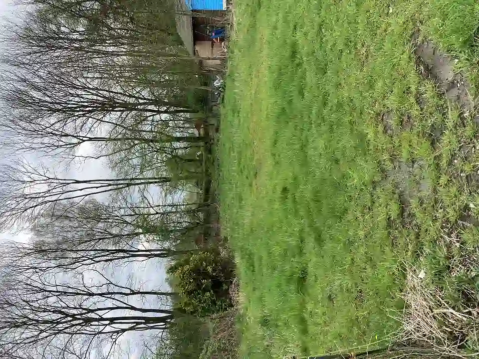 Parzelle im Dornr&ouml;schenweg 36