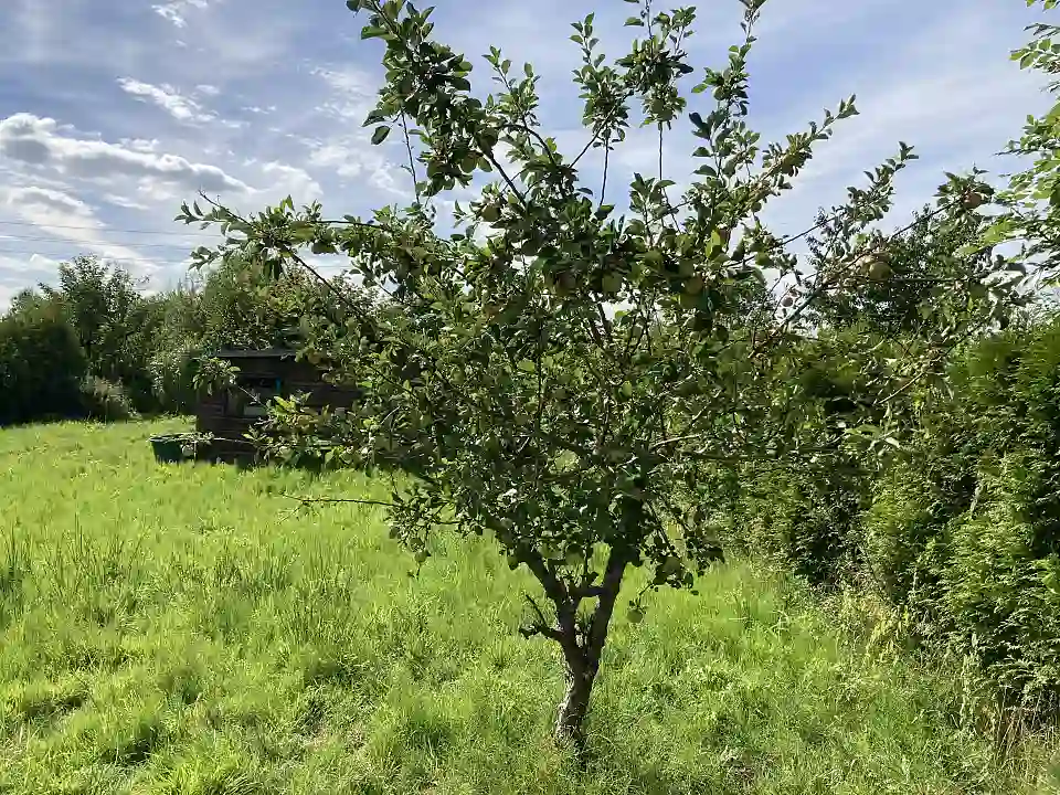 Edelwei&szlig;weg 76