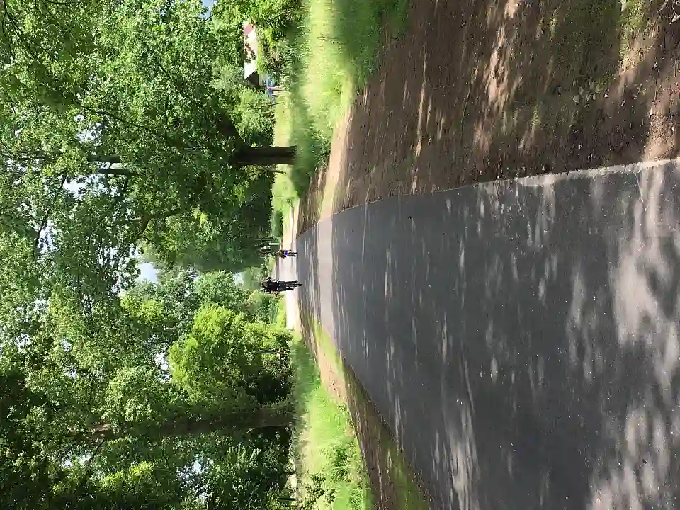 Fertiggestellte Wegebauma&szlig;nahme