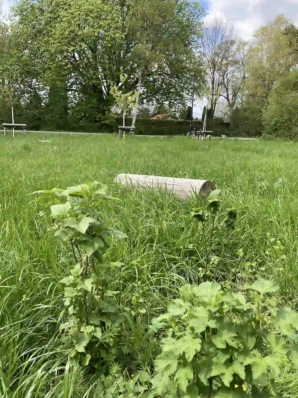 Kinderspielfl&auml;che am Amselweg