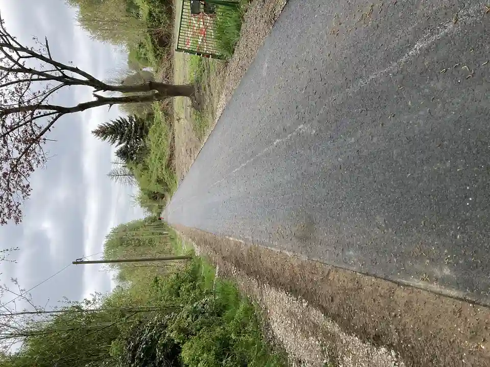 Die Wegesanierung des Chrysanthemenwegs im Mai