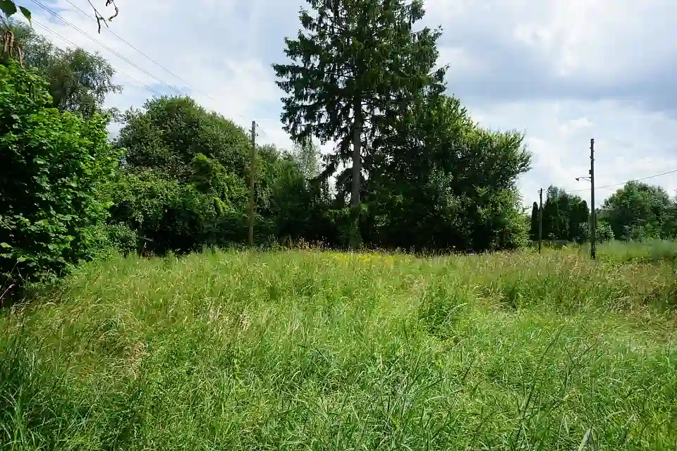 Schildblattweg 15 (3)