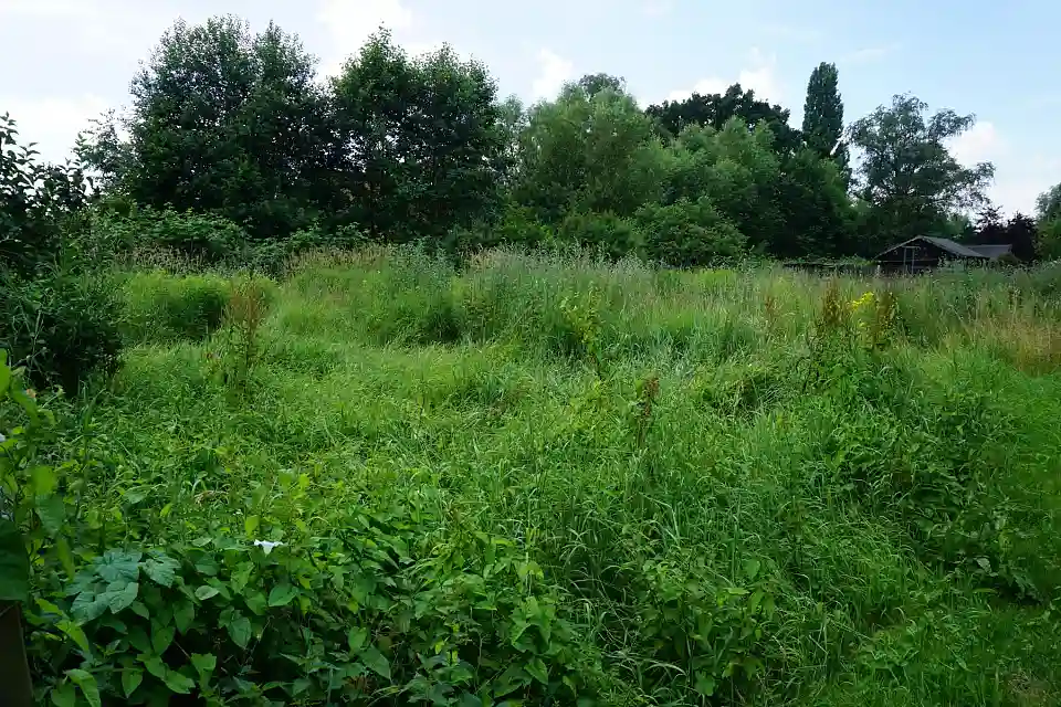 Schildblattweg 16 (2)