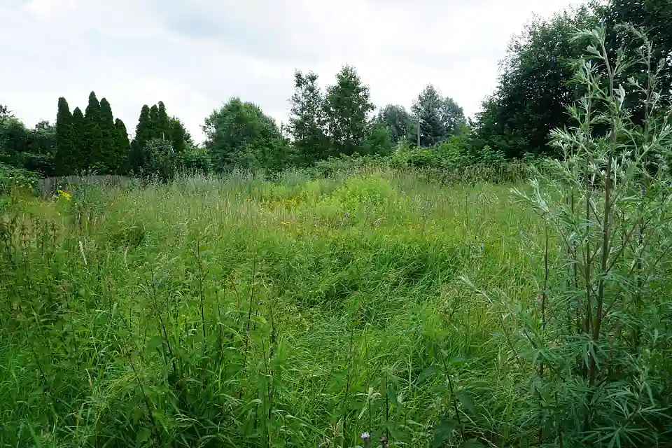 Schildblattweg 16 (3)