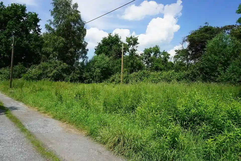 Schildblattweg 7a (2)