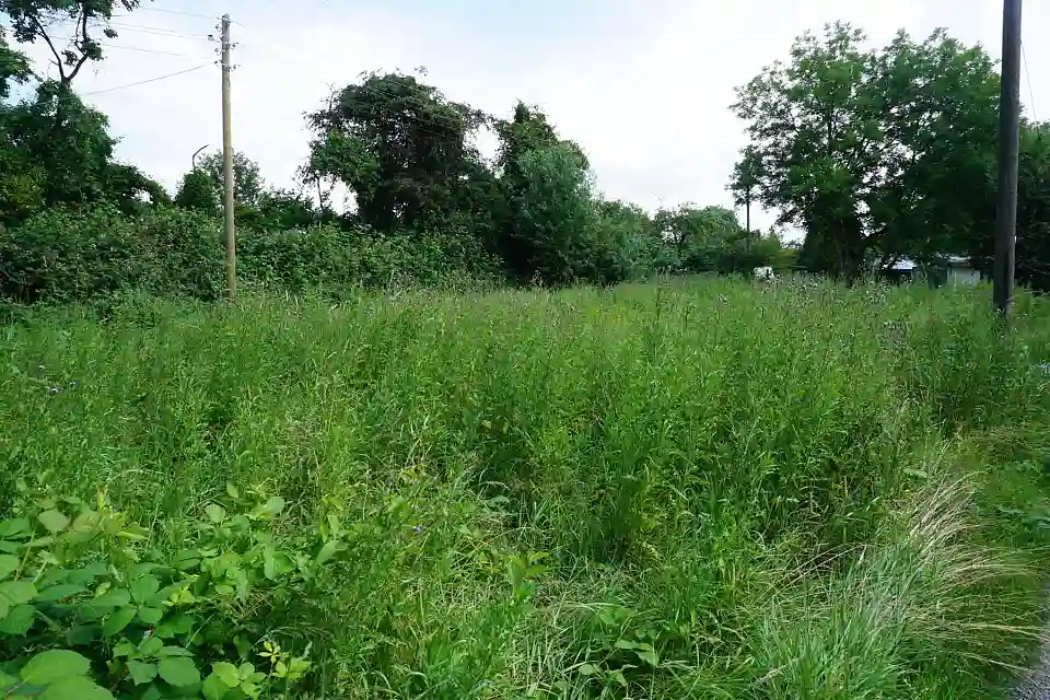 Schildblattweg 7a (3)