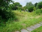 Silberweidenweg 5 (4)