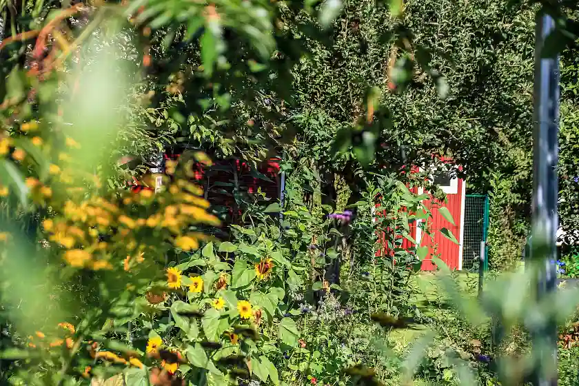 Foto KGV Mittelwischweg (1) &copy; H&uuml;botter