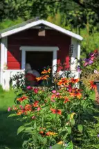 Foto KGV Waller Marsch (3) © Hübotter