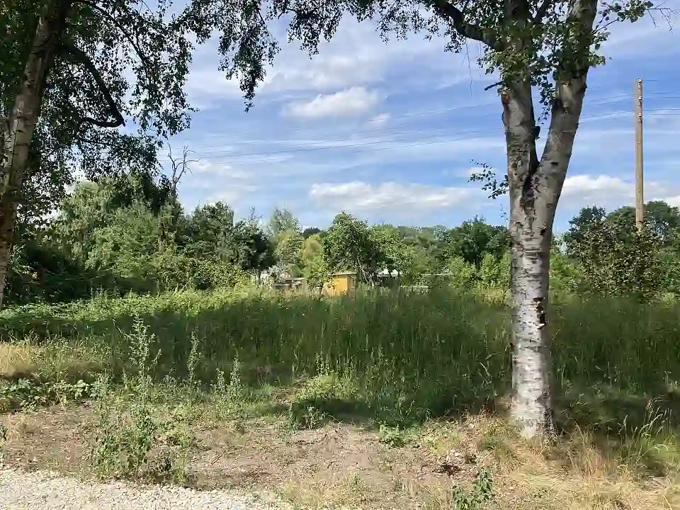 Schildblattweg 11 (1)