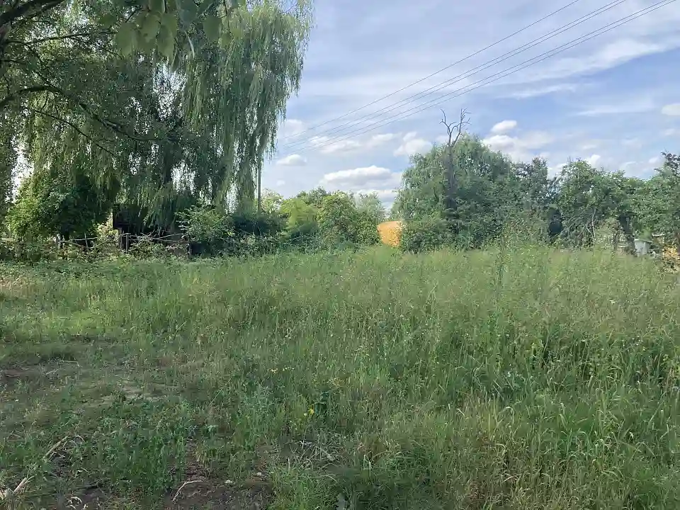 Schildblattweg 11 (3)