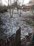 Stadtmusikantenweg 62 (1)