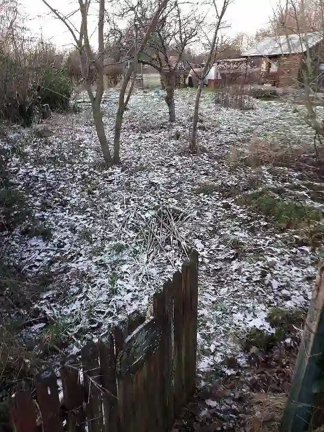 Stadtmusikantenweg 62 (1)