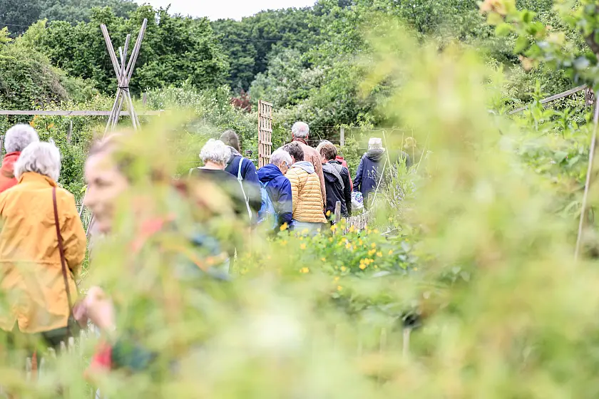 Veranstaltungen &copy Lisa Hübotter