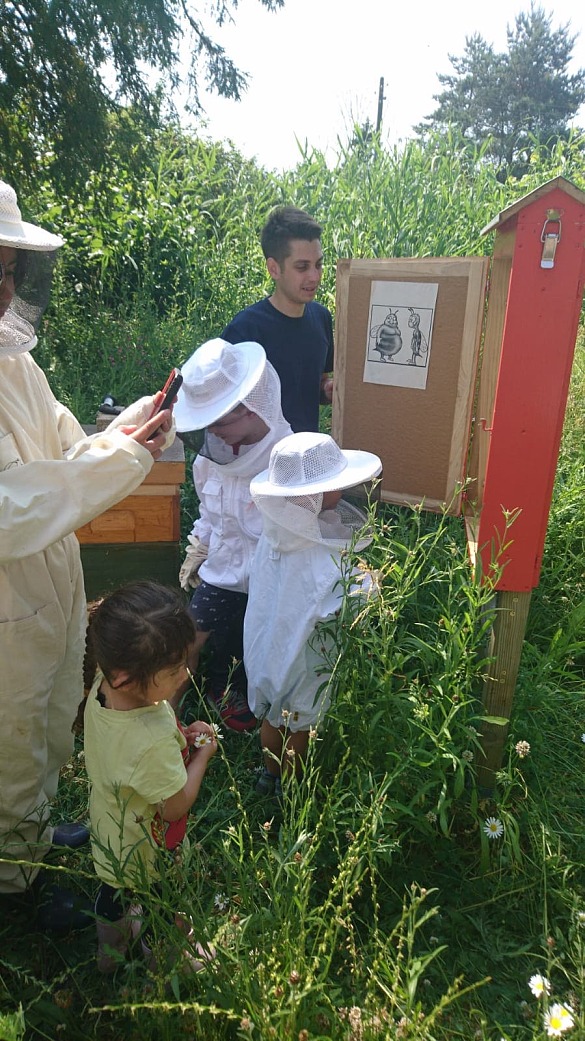 Impressionen vom Frühsommerfest - ein Besuch im Wild- und Honigbienengarten 